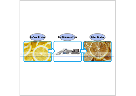 Lemon Peel drying machine